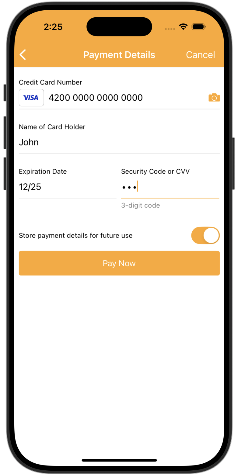 Store payment details during payment